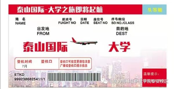 面向初中毕业生——泰山国际学校高中部招生启动