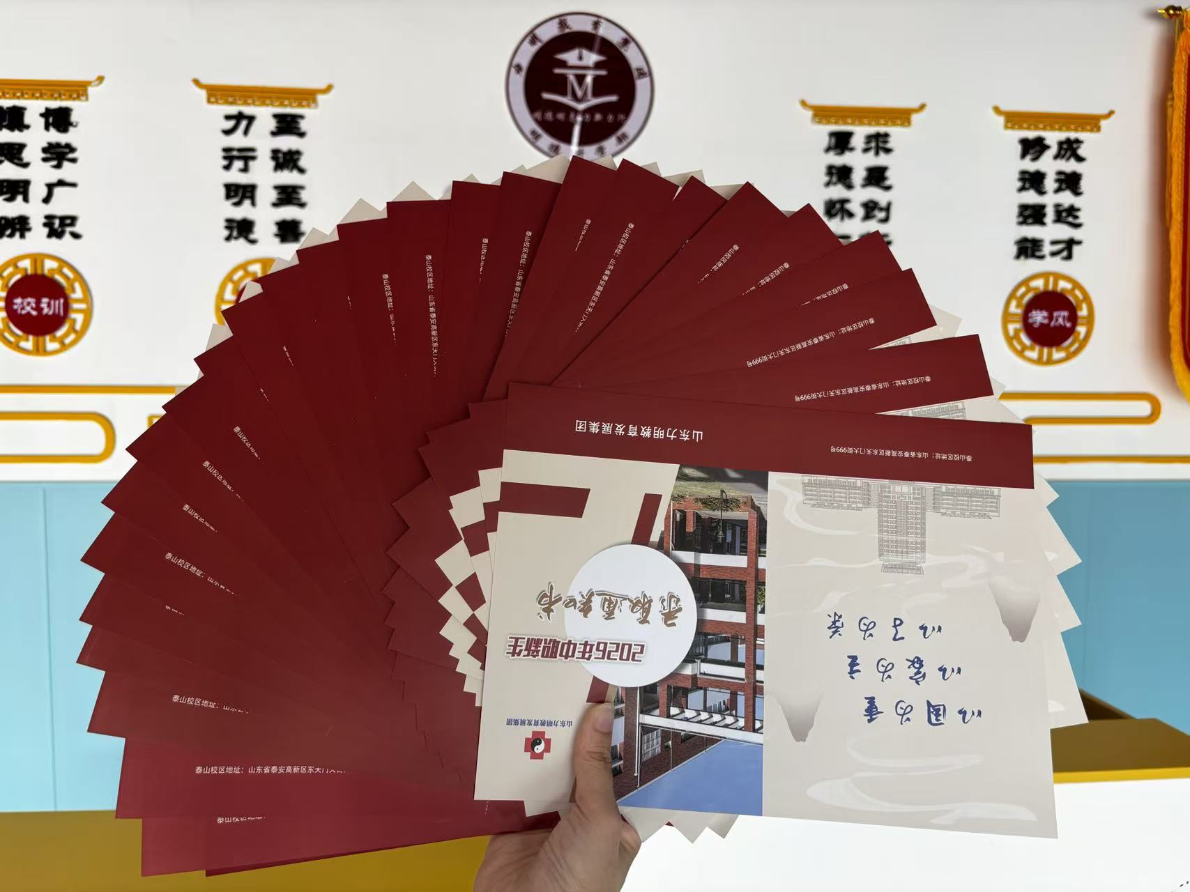 照片4 照片4